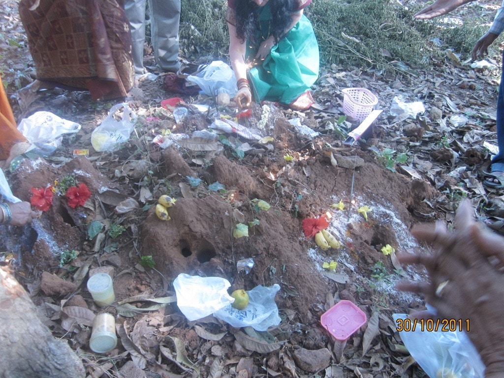 indian picnic vacation